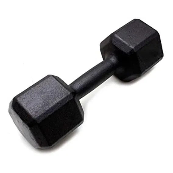 Par Peso Halter Para Musculação 8kg Preto Ferro Foto 1