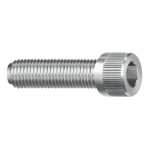 Parafuso Allen Cilindrica Inox M5x60mm 100 Foto 1