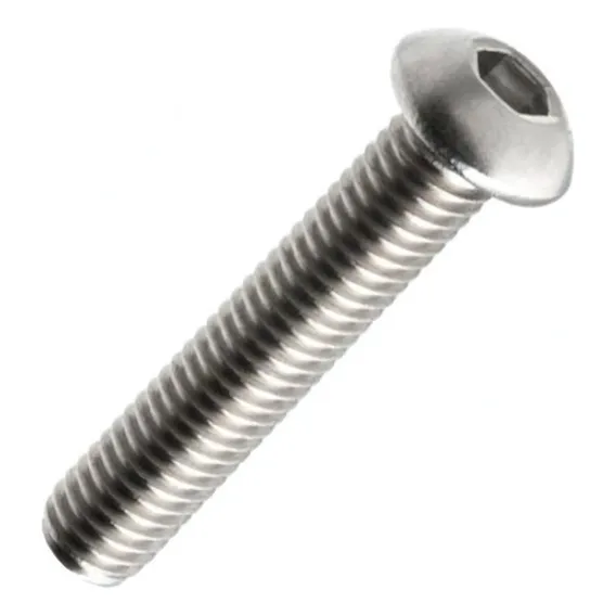 Parafuso Allen Inox Com Cabeça Abaulada M5 X 10mm 100 Foto 1