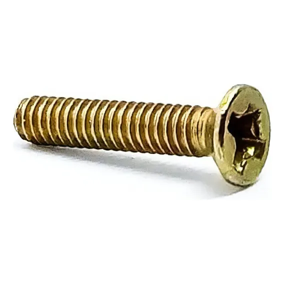 Parafuso Chata Phillips M2 X 10mm Bicromatizado Com 50pçs Foto 1