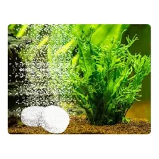 Pastilhas De Co2 Ista AquƔrios Plantados 100 Unidades I-510 Foto mini 2