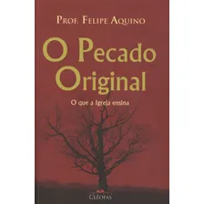 Pecado Original, O - O Que A Igreja Ensina Foto mini 1