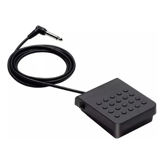 Pedal Sustain Casio P/ Teclado Modelo Sp-3 Foto 1