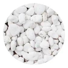 Pedra Para Jardim Dolomita Branca NÂș 2 Vasos Plantas 9,5kg Foto mini 1
