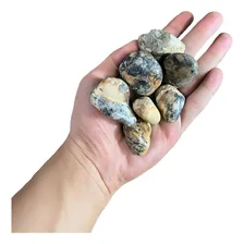 Pedra Rolada Jaspe Dentrítico Pacote 200g Foto mini 1