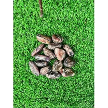 Pedra Rolada Polida Granada Vermelha Pacote 200g Foto mini  3