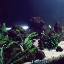 Pedras Vulcânicas Naturais Caixa Box 2kg Cinza Foto mini 4