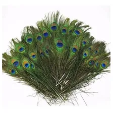 Penas Pavão /p Artesanato /e Decoração 25-30 Cm 30 Unidades Cor Verde Foto mini 1