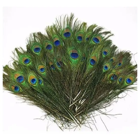 Penas Pavão /p Artesanato /e Decoração 25-30 Cm 30 Unidades Cor Verde Foto 1