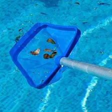 Peneira Plastica Pooltec Para Piscinas Jacuzzi Hidro Foto mini 4