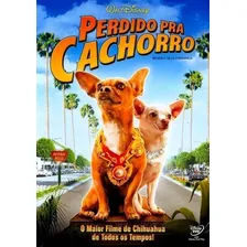 Perdido Pra Cachorro - Dvd - Piper Perabo Foto  mini 1