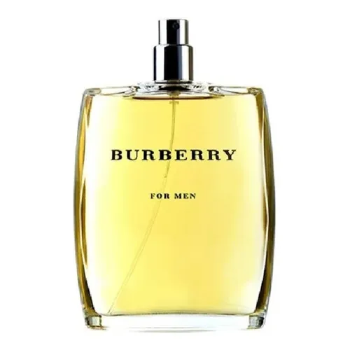 Perfume Burberry Burberry Masculino 100ml Edt Sem Caixa Foto 1