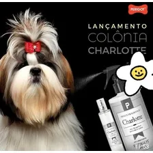 Perfume Charlotte Perigot 500ml Linha Delux - Campeão Venda Foto mini  2