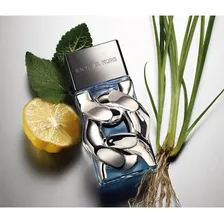 Perfume Michael Kors Pour Homme EDP 100ml Foto mini  3