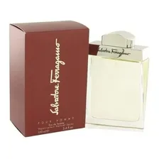 Perfume Salvatore Ferragamo Pour Homme Edt 100ml - Foto mini 1