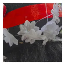 Peruca Gueixa Cor Preto Foto mini 4