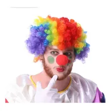 Peruca Palhaço Colorida Adulto Infantil Festa Fantasia Foto mini  3
