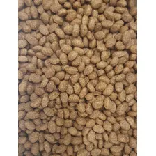 Pet Food Solution Allcanis Premium ração alimento adultos raças pequenas 15kg Foto mini 3