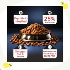 Pet Food Solution Allcanis Premium ração alimento adultos raças pequenas 15kg Foto mini 4
