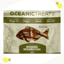 Petisco Natural Manjuba Desidratada Padrão Exportação 100g Foto mini 4