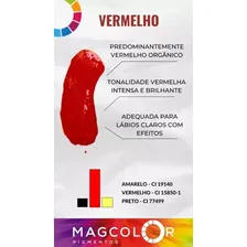 Pigmento Para Micropigmentação Magcolor Gold Line Lips 5ml Cor Pimenta Foto mini 3