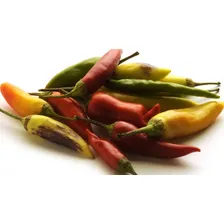 Pimenta Aji Panka Panca - Aji Cafe - Aji Rojo Peruano Chili Foto mini 1