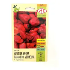 Pimenta Boyra Habanero Vermelha- 0,8g= 160 Sementes Aprox Foto  mini 1