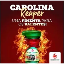 Pimenta Carolina Reaper Macerada 100ml Foto mini  3
