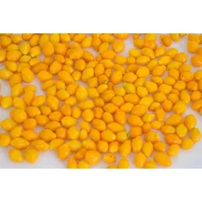Pimenta Cumari Do Pará Passarinho Conserva 300g - Foto mini 4