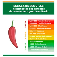 Pimenta Cumari Verde Em Conserva 200g Nativa Foto mini 4