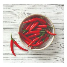 Pimenta Malaguetinha - 0,4gr De Sementes Foto  mini 1