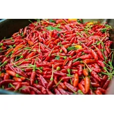 Pimenta Malaguetinha - 0,4gr De Sementes Foto mini 4