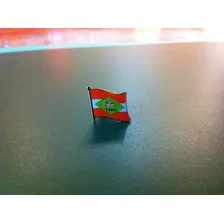 Pin Da Bandeira Do Estado De Santa Catarina Foto mini  2