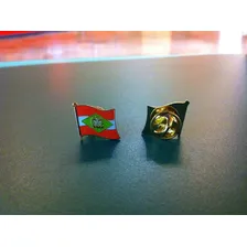 Pin Da Bandeira Do Estado De Santa Catarina Foto mini  3