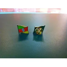 Pin Da Bandeira Do Estado Do Rio Grande Do Sul Foto mini 4