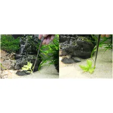 Pinça Reta Aquário Plantado Plantas Terrário Aço Inoxidável Foto mini  2