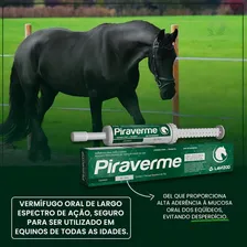 Piraverme Gel Oral Lavizoo 25g Vermifugo Para Equinos Foto mini  2