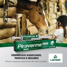 Piraverme Gel Oral Lavizoo 25g Vermifugo Para Equinos Foto mini  3