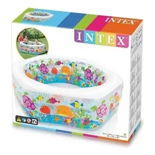 Piscina Aquário Inflável - 541 Litros - Intex Foto mini 4