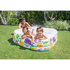 Piscina Infantil Aquario 340 Litros - Intex Foto mini 4