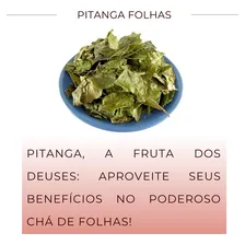 Pitanga Folha Ideal Para Chá | Folha Natural Desidratada Foto mini  2