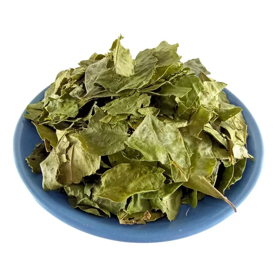 Pitanga Folha Ideal Para Chá | Folha Natural Desidratada Foto 1