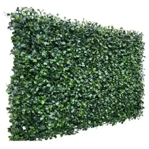 Placa Grama Artificial Grande 40x60 Buchinhos Foto 1
