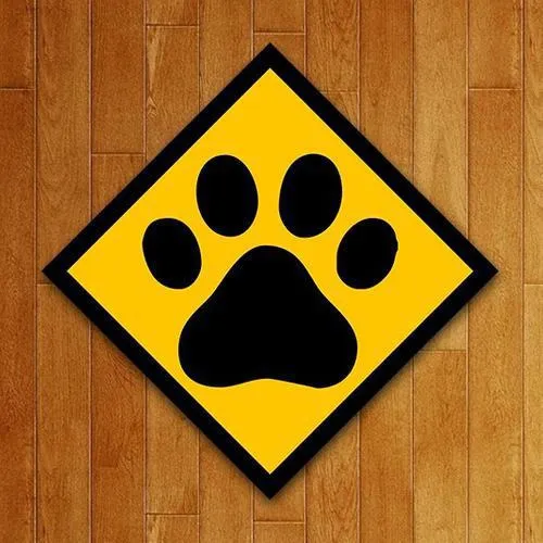Placa Quadro Decorativo Pet - Dog - Cachorro (27x27) Foto 1