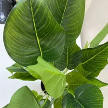 Planta Artificial Antúrio Decoração Enfeite Vaso Preto 40cm Foto mini 4