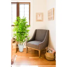 Planta Artificial Bambu Moss么 Da Sorte Premium Cor Bambu Moss么 Artificial Foto mini 3