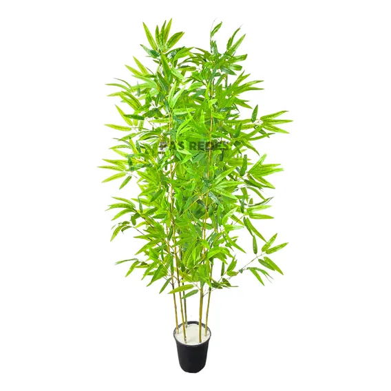 Planta Artificial Bambu Moss么 Da Sorte Premium Cor Bambu Moss么 Artificial Foto 1