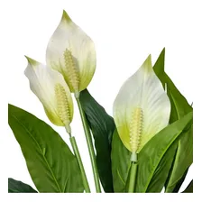 Planta Artificial BuquĂȘ LĂrios Da Paz Branco Toque Real Foto mini 2