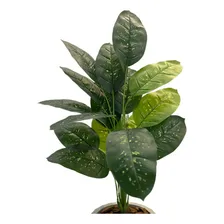 Planta Artificial Comigo Ninguém Pode Folhagem Jibóia Sala Foto  mini 1