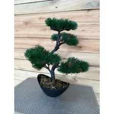 Planta Artificial Para Sala Arvore Planta Bonsai Com Vaso Cor Vaso Preto Foto mini 3
